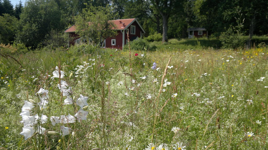 Kylås Vildmark Skillingaryd Exteriör bild